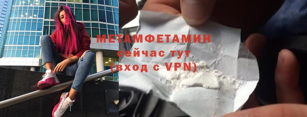 индика Горнозаводск