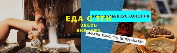 индика Горнозаводск