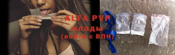 индика Горнозаводск