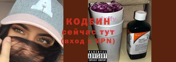 гашик Горняк