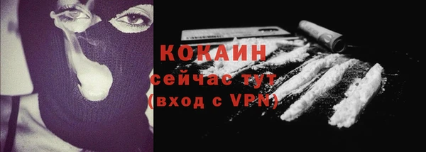гашик Горняк
