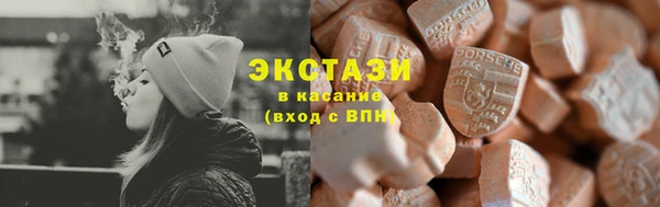индика Горнозаводск