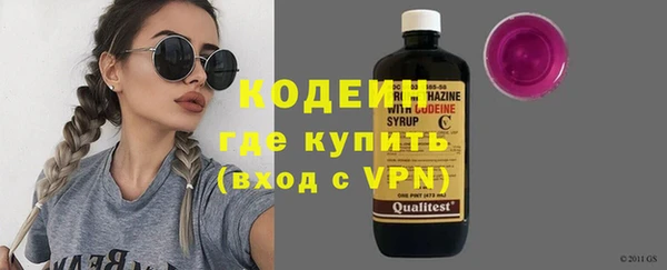 индика Горнозаводск