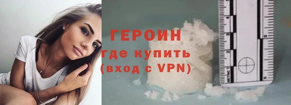 индика Горнозаводск