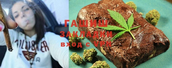 индика Горнозаводск
