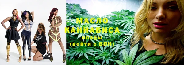 индика Горнозаводск