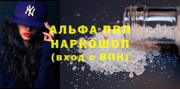 гашик Горняк
